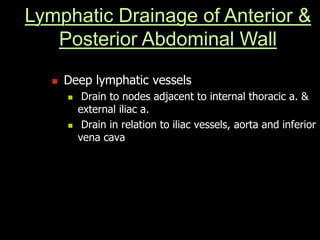  Deep lymphatic vessels
 Drain to nodes adjacent to internal thoracic a. &
external iliac a.
 Drain in relation to iliac vessels, aorta and inferior
vena cava
Lymphatic Drainage of Anterior &
Posterior Abdominal Wall
 