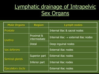 Male Organs Region Lymph nodes
Prostate Internal iliac & sacral nodes
Urethra
Proximal &
intermediate
Internal iliac  external iliac nodes
Distal Deep inguinal nodes
Vas deferens External iliac nodes
Seminal glands
Superior part External iliac nodes
Inferior part Internal iliac nodes
Ejaculatory ducts External iliac nodes
Lymphatic drainage of Intrapelvic
Sex Organs
 