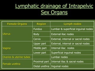 Female Organs Region Lymph nodes
Uterus
Fundus Lumbar & superficial inguinal nodes
Body External iliac nodes
Cervix External, internal or sacral nodes
Vagina
Upper part External, internal or sacral nodes
Middle part Internal iliac nodes
Lower part Superficial inguinal nodes
Ovaries & uterine tubes Lumbar nodes
Female urethra
Proximal part Internal iliac & sacral nodes
Distal urethra Inguinal nodes
Lymphatic drainage of Intrapelvic
Sex Organs
 
