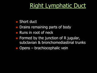 Right Lymphatic Duct
 Short duct
 Drains remaining parts of body
 Runs in root of neck
 Formed by the junction of R jugular,
subclavian & bronchomediastinal trunks
 Opens – brachiocephalic vein
 