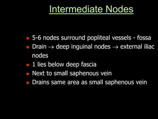 Intermediate Nodes
 5-6 nodes surround popliteal vessels - fossa
 Drain deep inguinal nodes  external iliac
nodes
 1 lies below deep fascia
 Next to small saphenous vein
 Drains same area as small saphenous vein
 