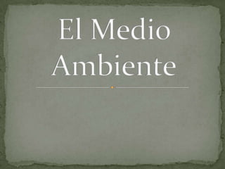 El Medio Ambiente 