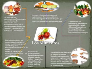 Los Alimentos
Las proteínas son
macromoléculas formadas por
cadenas lineales de
aminoácidos. Son
macromoléculas orgánicas,
constituidas básicamente por
carbono (C), hidrógeno (H),
oxígeno (O) y nitrógeno (N)
Las vitaminas son
compuestos heterogéneos
imprescindibles para la
vida, que al ingerirlos de
forma equilibrada
promueven el correcto
funcionamiento fisiológico.
Las grasa o lípidos son compuestos
orgánicos muy diversos constituidos
básicamente por carbono e hidrógeno, que
tienen en común el ser insolubles en agua
Los carbohidratos o hidratos
de carbono o también
llamados azúcares son los
compuestos orgánicos más
abundantes y a su vez los más
diversos. Están integrados por
carbono, hidrógeno y oxígeno,
de ahí su nombre.
Los micronutrientes son
sustancias químicas que el
cuerpo necesita en pequeñas
cantidades para el
funcionamiento correcto de las
células.
Dentro de este grupo, se
encuentran las vitaminas y los
minerales.
Los minerales
participan en la
formación de dientes
y huesos (calcio,
fósforo y magnesio),
además de regular
fluidos corporales
(sodio, potasio y
cloro).