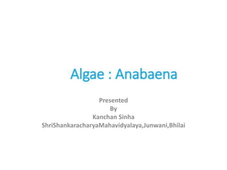 Presented
By
Kanchan Sinha
ShriShankaracharyaMahavidyalaya,Junwani,Bhilai
 