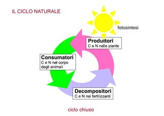 ciclo  chiuso
IL  CICLO  NATURALE
fotosintesi
 