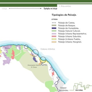 3. Antecedentes
Tipologías de Paisaje- Paisaje
 