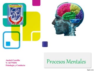 Procesos MentalesAnabel Carrillo
V- 16779494
Fisiología y Conducta
 