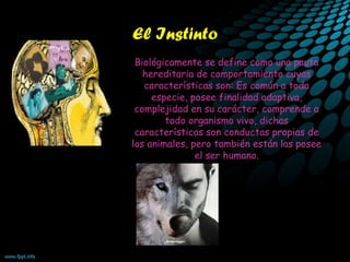 El Instinto
Biológicamente se define como una pauta
hereditaria de comportamiento cuyas
características son: Es común a toda
especie, posee finalidad adaptiva,
complejidad en su carácter, comprende a
todo organismo vivo, dichas
características son conductas propias de
los animales, pero también están las posee
el ser humano.
 