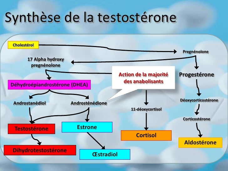 Les moyens prophylactiques pour la puissance