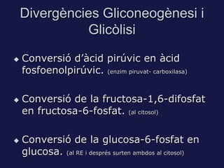 Divergències Gliconeogènesi i
              Glicòlisi

   Conversió d’àcid pirúvic en àcid
    fosfoenolpirúvic. (enzim piruvat- carboxilasa)

   Conversió de la fructosa-1,6-difosfat
    en fructosa-6-fosfat. (al citosol)

   Conversió de la glucosa-6-fosfat en
    glucosa. (al RE i després surten ambdos al citosol)
 