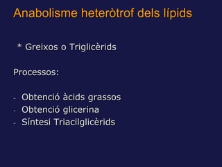 Anabolisme heteròtrof dels lípids

    * Greixos o Triglicèrids

Processos:

-    Obtenció àcids grassos
-    Obtenció glicerina
-    Síntesi Triacilglicèrids
 