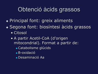 Obtenció àcids grassos
 Principal font: greix aliments
 Segona font: biosíntesi àcids grassos

    • Citosol
    • A partir Acetil-CoA (d’origen
      mitocondrial). Format a partir de:
       Catabolisme glúcids
       Β-oxidació

       Desaminació Aa
 