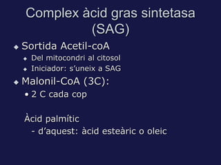 Complex àcid gras sintetasa
             (SAG)
   Sortida Acetil-coA
       Del mitocondri al citosol
       Iniciador: s’uneix a SAG
   Malonil-CoA (3C):
    • 2 C cada cop

    Àcid palmític
     - d’aquest: àcid esteàric o oleic
 