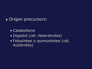    Origen precursors:

    • Catabolisme
    • Digestió (cèl. Heteròtrofes)
    • Fotosíntesi o quimiosíntesi (cèl.
      Autòtrofes)
 