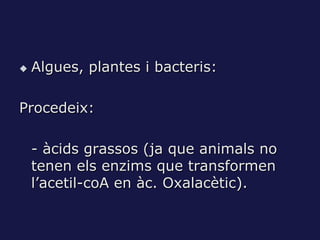    Algues, plantes i bacteris:

Procedeix:

    - àcids grassos (ja que animals no
    tenen els enzims que transformen
    l’acetil-coA en àc. Oxalacètic).
 