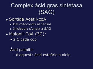 Complex àcid gras sintetasa
             (SAG)
   Sortida Acetil-coA
       Del mitocondri al citosol
       Iniciador:...