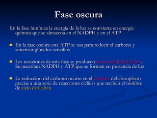 Fase oscura En la fase lumínica la energía de la luz se convierte en energía química que se almacena en el NADPH y en el ATP En la fase oscura este ATP se usa para reducir el carbono y sintetizar glúcidos sencillos Las reacciones de esta fase se producen  sin necesidad de la luz . Se necesitan NADPH y ATP que se forman en presencia de luz La reducción del carbono ocurre en el  estroma  del cloroplasto gracias a una serie de reacciones cíclicas que reciben el nombre de  ciclo de Calvin 