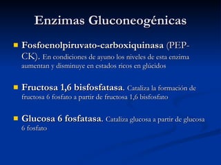 Enzimas Gluconeogénicas Fosfoenolpiruvato-carboxiquinasa  (PEP-CK).  En condiciones de ayuno los niveles de esta enzima aumentan y disminuye en estados ricos en glúcidos Fructosa 1,6 bisfosfatasa .  Cataliza la formación de fructosa 6 fosfato a partir de fructosa 1,6 bisfosfato Glucosa 6 fosfatasa .  Cataliza glucosa a partir de glucosa 6 fosfato 