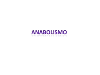 Anabolismo 