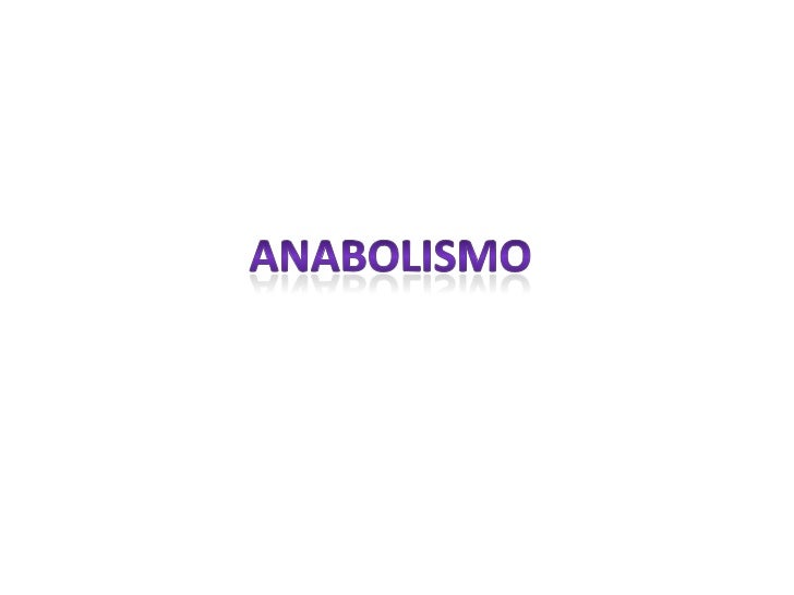 aceleradores del metabolismo experiencia