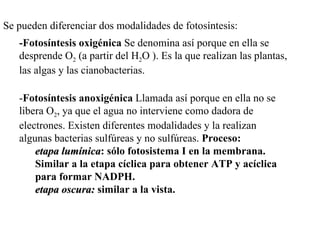 Se pueden diferenciar dos modalidades de fotosíntesis: -Fotosíntesis oxigénica  Se denomina así porque en ella se desprende O 2  (a partir del H 2 O ). Es la que realizan las plantas, las algas y las cianobacterias. - Fotosíntesis anoxigénica  Llamada así porque en ella no se libera O 2 , ya que el agua no interviene como dadora de electrones. Existen diferentes modalidades y la realizan algunas bacterias sulfúreas y no sulfúreas.  Proceso:  etapa lumínica : sólo fotosistema I en la membrana.  Similar a la etapa cíclica para obtener ATP y acíclica  para formar NADPH. etapa oscura:  similar a la vista.   