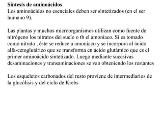Síntesis de aminoácidos Los aminoácidos no esenciales deben ser sintetizados (en el ser humano 9). Las plantas y muchos microorganismos utilizan como fuente de nitrógeno los nitratos del suelo o tb el amoniaco. Si es tomado como nitrato , éste se reduce a amoniaco y se incorpora al ácido alfa-cetoglutárico que se transforma en ácido glutámico que es el primer aminoácido sintetizado. Luego mediante sucesivas desaminaciones y transaminaciones se van obteniendo los restantes Los esqueletos carbonados del resto proviene de intermediarios de la glucólisis y del ciclo de Krebs 