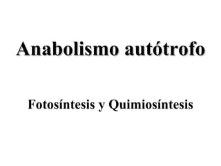 Anabolismo autótrofo
Fotosíntesis y Quimiosíntesis

 