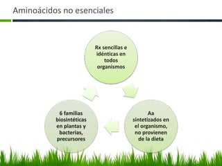 Aminoácidos no esenciales


                          Rx sencillas e
                          idénticas en
                              todos
                           organismos




           6 familias                             Aa
          biosintéticas                    sintetizados en
          en plantas y                      el organismo,
           bacterias,                       no provienen
          precursores                         de la dieta
 