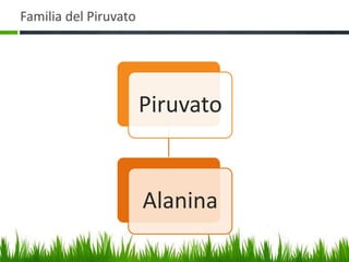 Familia del Piruvato




                       Piruvato


                       Alanina
 