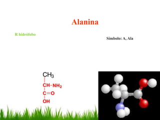 Alanina
R hidrófobo
                                 Símbolo: A, Ala




              CH3
              CH NH2
              C O
              OH
 