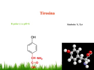 Tirosina

R polar (-) a pH=5                    Símbolo: Y, Tyr




                     OH




                     CH NH2
                     C O
                     OH
 