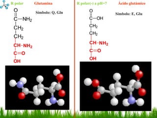 R polar   Glutamina         R polar(-) a pH=7    Ácido glutámico
 O        Símbolo: Q, Gln          O
                                                Símbolo: E, Glu
 C NH2                             C OH

 CH2                               CH2
                                   CH2
 CH2
                                   CH NH2
 CH NH2
                                   C O
 C O
                                   OH
 OH
 