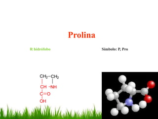 Prolina
R hidrófobo              Símbolo: P, Pro




     CH2 CH2

     CH NH
     C O
     OH
 