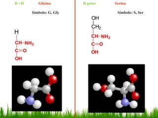 R =H      Glicina        R polar      Serina

       Símbolo: G, Gly                 Símbolo: S, Ser
                             OH
                             CH2
H
                             CH NH2
CH NH2                       C O
C O                          OH
OH
 