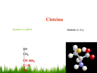 Cisteina
R polar (-) a pH=5              Símbolo: C, Cys




         SH
         CH2

         CH NH2
         C O
         OH
 