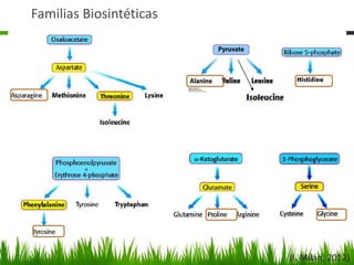 Familias Biosintéticas




                         (I. Milán, 2012)
 