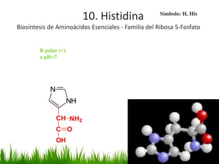 10. Histidina             Símbolo: H, His

Biosíntesis de Aminoácidos Esenciales - Familia del Ribosa 5-Fosfato


        R polar (+)
        a pH=7




            N
                      NH

                CH NH2
                C O
                OH
 