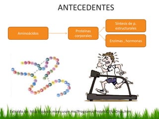 ANTECEDENTES
                                                          Síntesis de p.
                                                          estructurales
                                    Proteínas
    Aminoácidos
                                   corporales
                                                       Enzimas , hormonas




Extraído de: http://payala.mayo.uson.mx/Programa/Prote%C3%ADnas.htm
 
