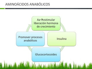 AMINOÁCIDOS ANABÓLICOS


                   Aaestimular
                liberación hormona
                   de crecimiento


      Promover procesos
                                Insulina
         anabólicos



                 Glucocortocoides
 