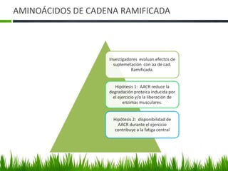 AMINOÁCIDOS DE CADENA RAMIFICADA



                   Investigadores evaluan efectos de
                     suplemetación con aa de cad.
                              Ramificada.


                      Hipótesis 1: AACR reduce la
                   degradación proteica inducida por
                     el ejercicio y/o la liberación de
                           enzimas musculares.


                     Hipótesis 2: disponibilidad de
                       AACR durante el ejercicio
                     contribuye a la fatiga central
 