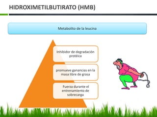 HIDROXIMETILBUTIRATO (HMB)


               Metabolito de la leucina




              Inhibidor de degradación
                      protéica


              promueve ganancias en la
                 masa libre de grasa


                 Fuerza durante el
                 entrenamiento de
                    sobrecarga
 