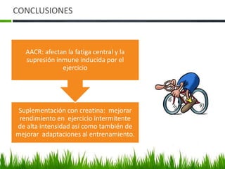 CONCLUSIONES



   AACR: afectan la fatiga central y la
   supresión inmune inducida por el
               ejercicio




 Suplementación con creatina: mejorar
 rendimiento en ejercicio intermitente
de alta intensidad así como también de
mejorar adaptaciones al entrenamiento.
 