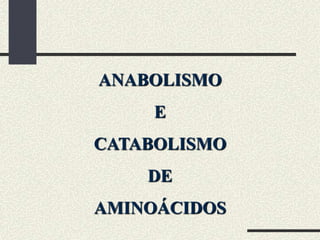 ANABOLISMO
     E
CATABOLISMO
    DE
AMINOÁCIDOS
 