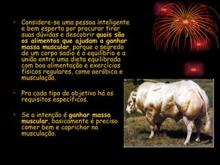 Considere-se uma pessoa inteligente e bem esperto por procurar tirar suas dúvidas e descobrir  quais são os alimentos que ajudam a ganhar massa muscular , porque o segredo de um corpo sadio é o equilíbrio e a união entre uma dieta equilibrada com boa alimentação e exercícios físicos regulares, como aeróbica e musculação.  Pra cada tipo de objetivo há os requisitos específicos. Se a intenção é  ganhar massa muscular , basicamente é preciso comer bem e caprichar na musculação. 
