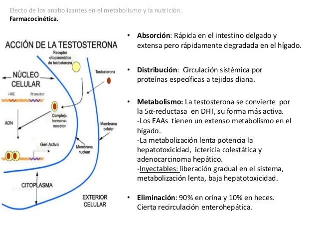 Nikola Tesla en metabolismo esquema