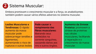 2 Sistema Muscular:
Embora promovam o crescimento muscular e a força, os anabolizantes
também podem causar vários efeitos adversos no sistema muscular.
Lesões Musculares e
Tendinosas: O rápido
aumento da massa
muscular pode
sobrecarregar tendões e
ligamentos,
aumentando o risco de
rupturas e outras lesões.
Pode causar o
rompimento das
fibras musculares:
liberando seus
conteúdos na
corrente sanguínea,
causando danos aos
rins e outros órgãos.
Aumento da Síntese
Proteica: promovem a
síntese de proteínas
nas células
musculares, facilitando
a reparação e o
crescimento da massa
muscular.
 