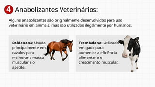 4 Anabolizantes Veterinários:
Alguns anabolizantes são originalmente desenvolvidos para uso
veterinário em animais, mas são utilizados ilegalmente por humanos.
Boldenona: Usada
principalmente em
cavalos para
melhorar a massa
muscular e o
apetite.
Trembolona: Utilizada
em gado para
aumentar a eficiência
alimentar e o
crescimento muscular.
 