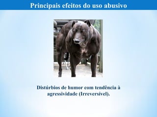 Principais efeitos do uso abusivo




  Distúrbios de humor com tendência à
       agressividade (Irreversível).
 