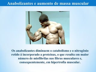 Anabolizantes e aumento de massa muscular




  Os anabolizantes diminuem o catabolismo e o nitrogênio
  retido á incorporado a proteínas, o que resulta em maior
       número de miofibrilas nas fibras musculares e,
        consequentemente, em hipertrofia muscular.
 