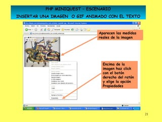 PHP MINIQUEST – ESCENARIO
INSERTAR UNA IMAGEN O GIF ANIMADO CON EL TEXTO



                              Aparecen las medidas
                              reales de la imagen




                                Encima de la
                                imagen haz click
                                con el botón
                                derecho del ratón
                                y elige la opción
                                Propiedades




                                                     21
 
